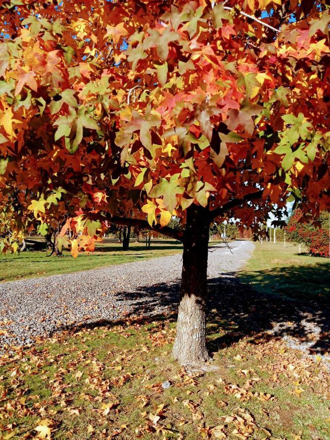 Casa De Campo Liquidambar San Pedro  Eksteriør billede